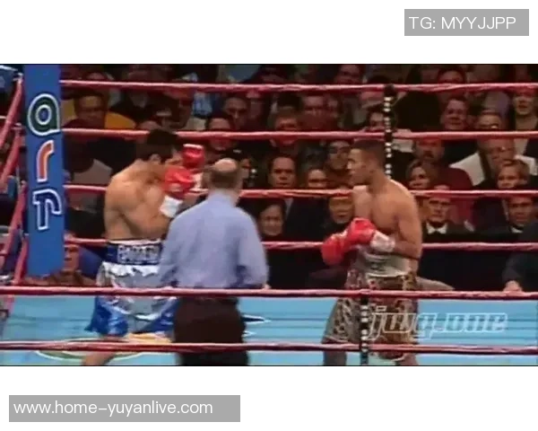 巴雷拉与史密斯精彩对决揭示拳击新星崛起的无限可能性