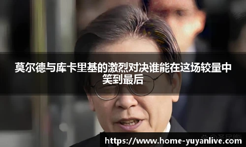 雨燕高清直播