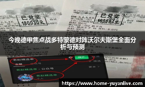 雨燕高清直播
